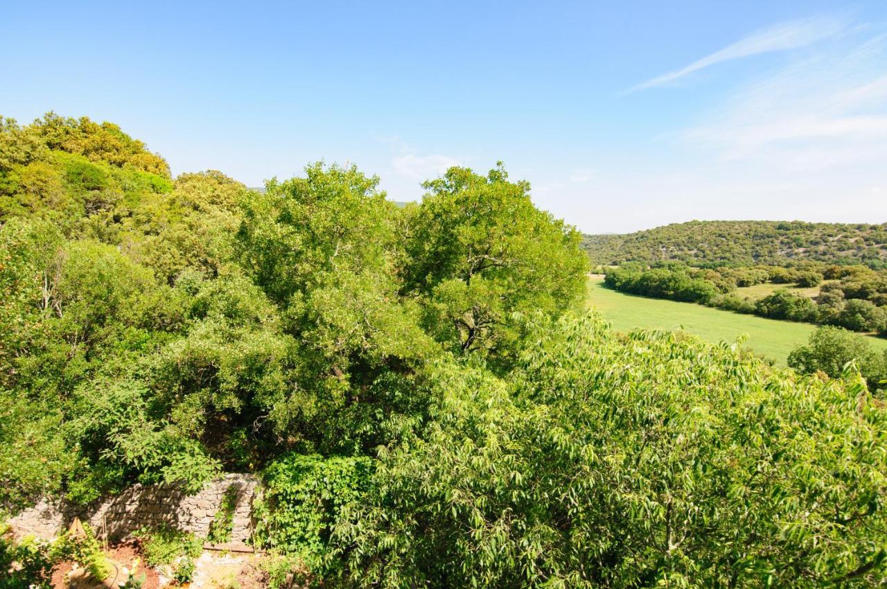 Chateau Le Villarel Brissac Εξωτερικό φωτογραφία
