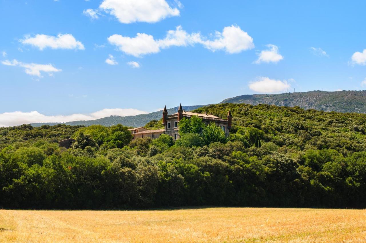 Chateau Le Villarel Brissac Εξωτερικό φωτογραφία